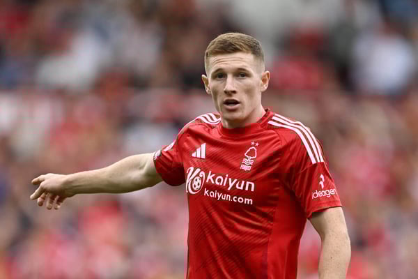 ELLIOT-ANDERSON-FOREST-scaled-e1724783909478